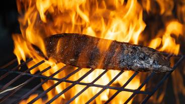 食事・飲み物 / 13