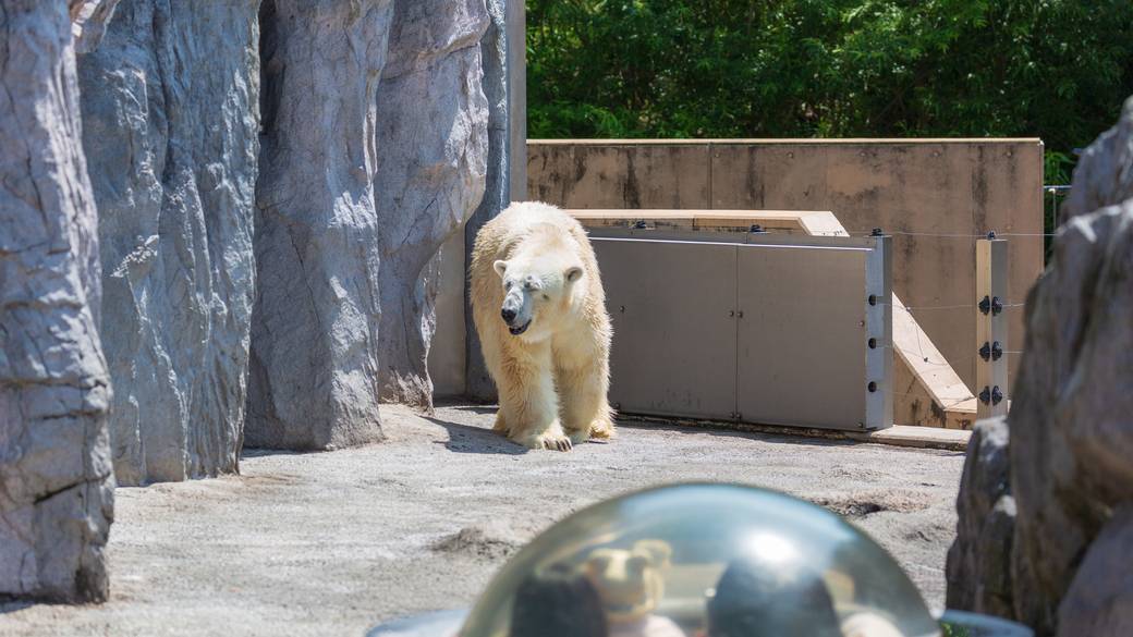旭山動物園 / 1