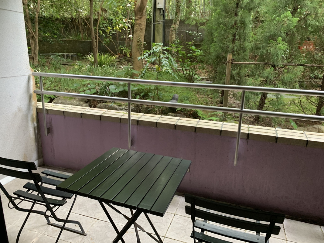 鬱蒼として整備されていない庭に向いたバルコニー