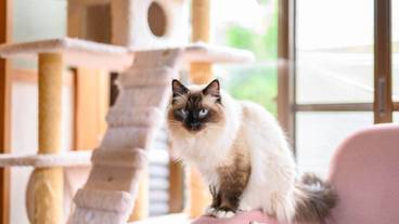 施設内の設備 / 14