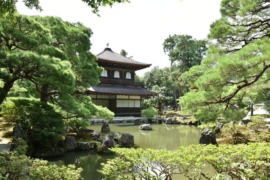 さらに進んで名所「銀閣寺(慈照寺)」へ739704