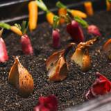 ビュッフェのメニュー(例1) / 2