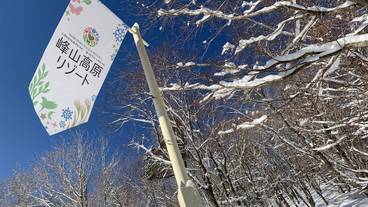 スノー スポーツとスキー / 11