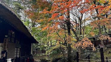 観光スポット / 5