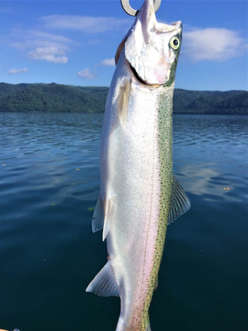 1日限定1組だけ！2人だけのお宿「ワッカヌプリ」　(道東）3496517