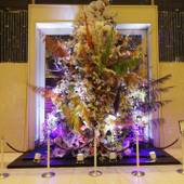 品川プリンスホテル イーストタワー(東京都 シティホテル) / 3