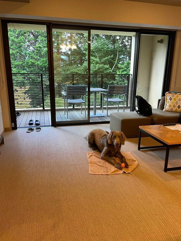 aoblue_._さんの写真 / 1