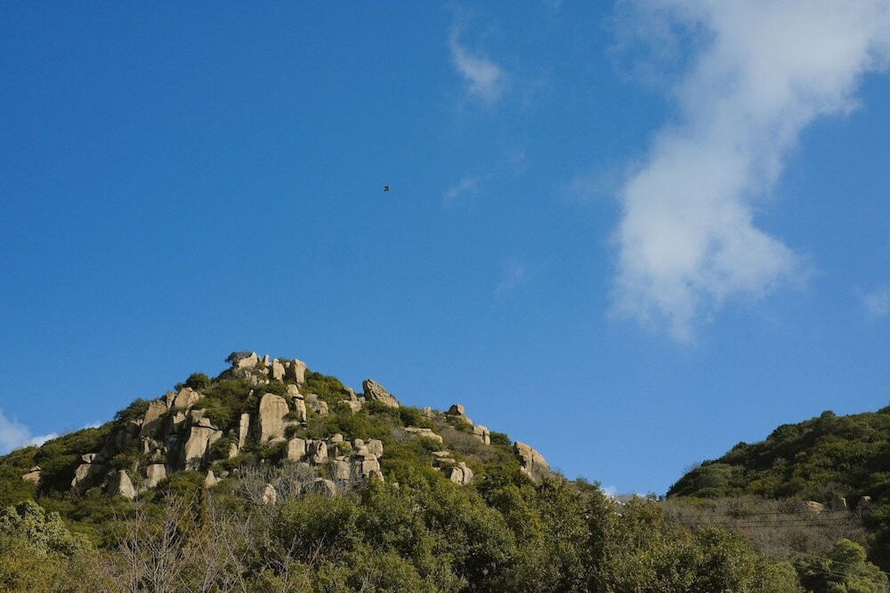 施設からの眺望