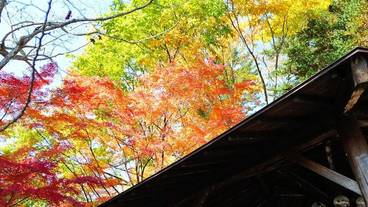 施設内の設備 / 4