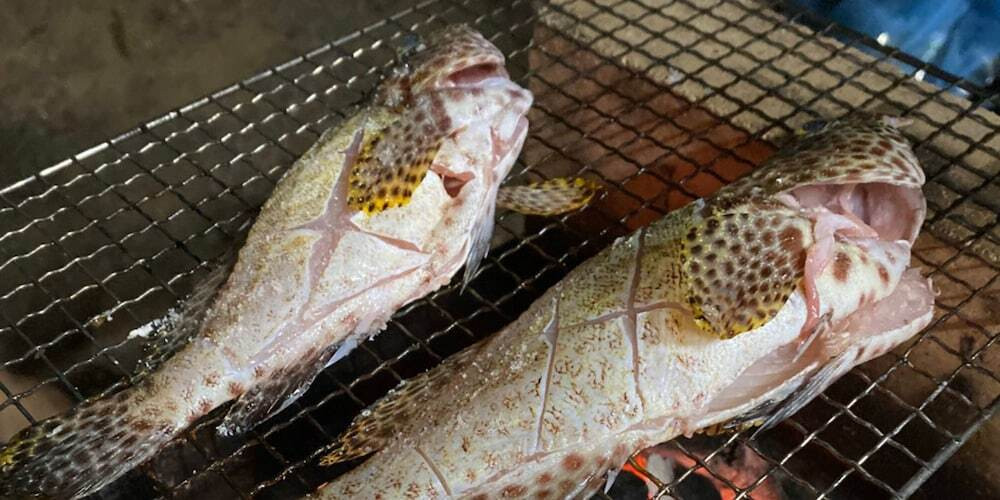 子供向けアクティビティ