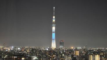 施設からの眺望 / 11