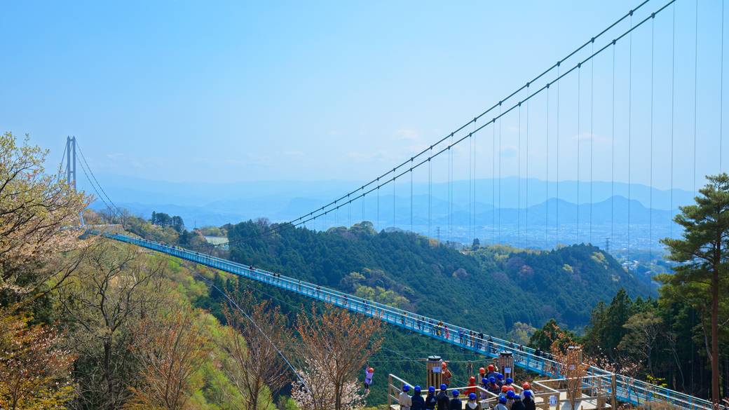 三島の観光名所で
とっておきの一枚を / 1