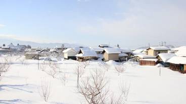 スノー スポーツとスキー / 3