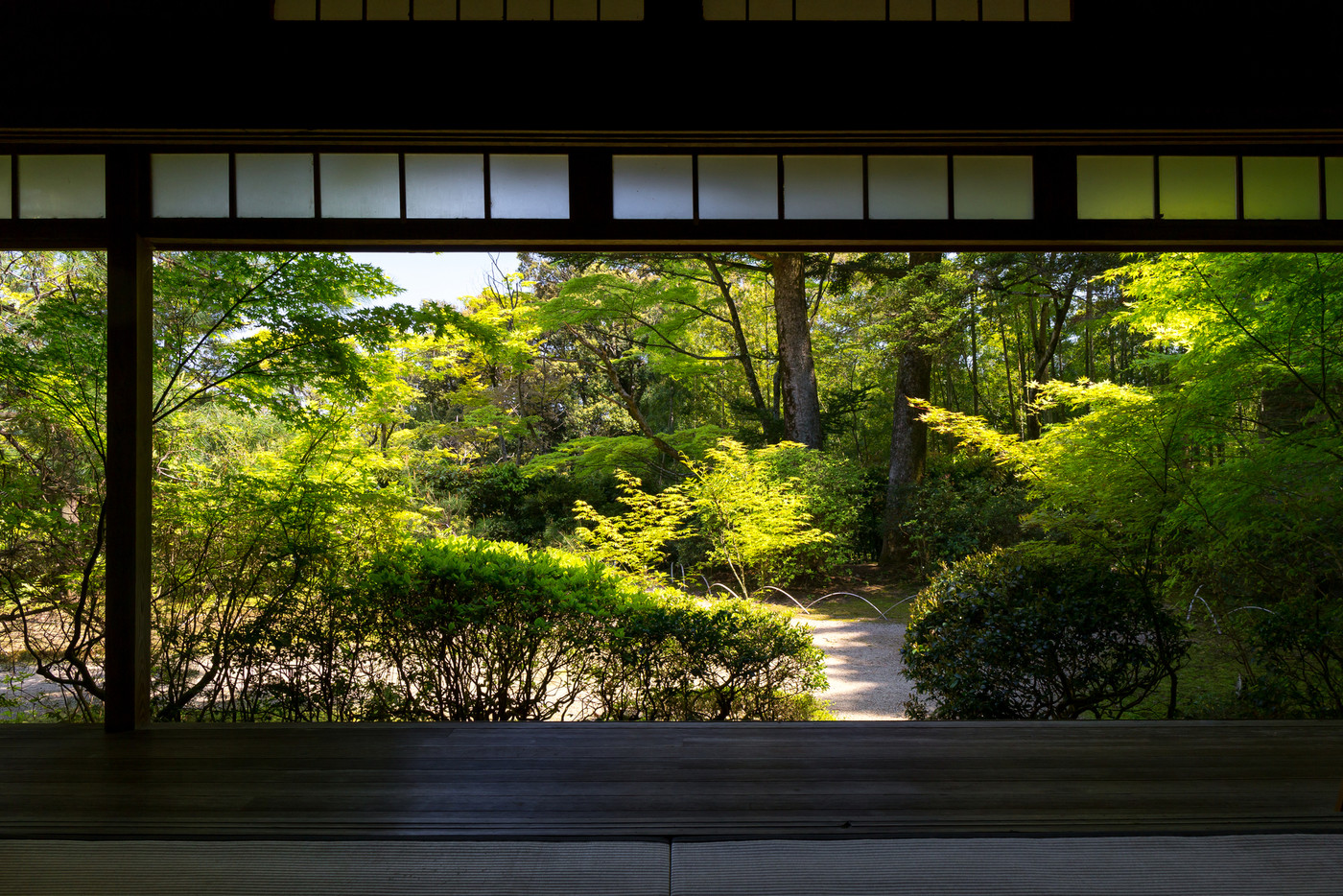 新緑の滝口寺