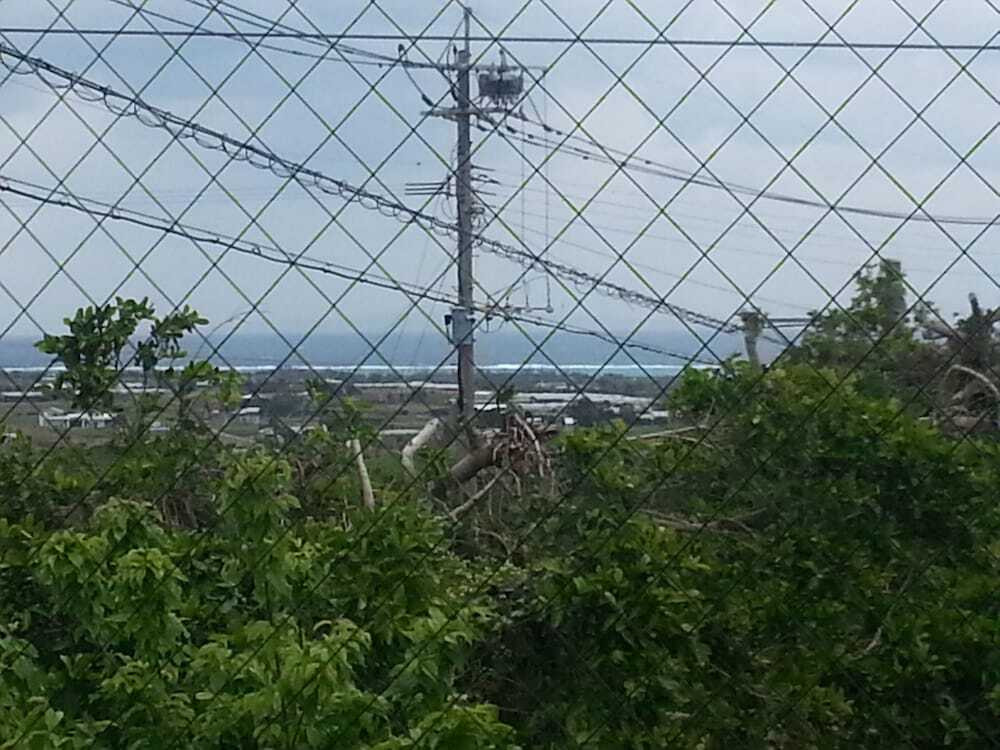 部屋からの景観