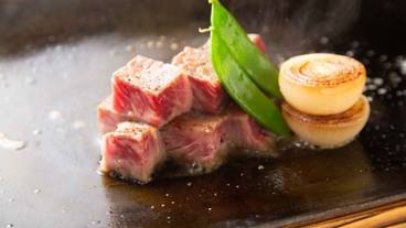 食事・飲み物 / 16