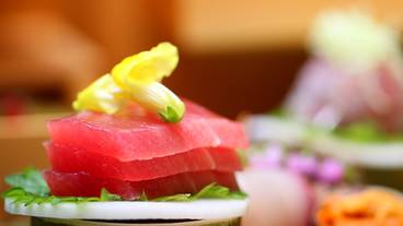 源泉湯宿 大成館(TAISEIKAN)熱海網代温泉(ゲンセンユヤド タイセイカン アタミアジロオンセン) / 3