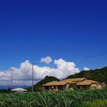 美しい天然ビーチで過ごす、ロマンチックな朝時間3959890