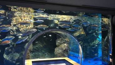 観光スポット / 7