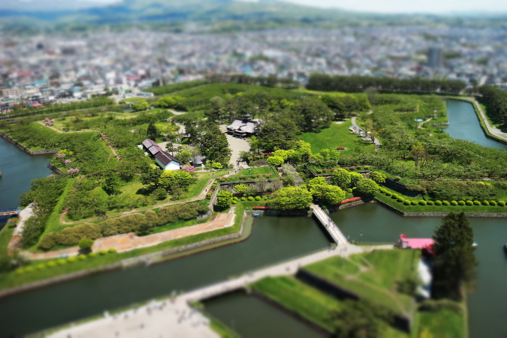 観光もグルメも♪愛犬と楽しい時間をシェアできる函館旅4228887