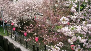 施設からの眺望 / 15