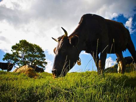 Spa Lodge Redwood Inn（レッドウッドイン） / 4