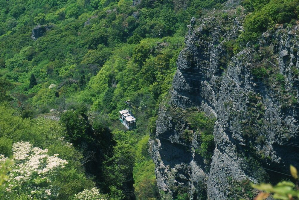 施設からの眺望