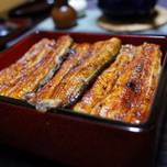 渋谷でうなぎが食べたい時に！デートにもカジュアル使える店7選
