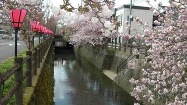 施設の敷地 / 18