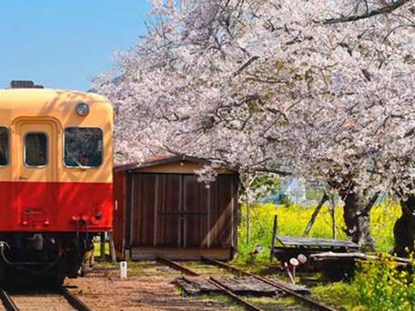 市原マリンホテル / 5