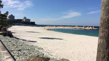 施設からの眺望 / 16