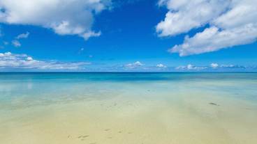 観光スポット / 29