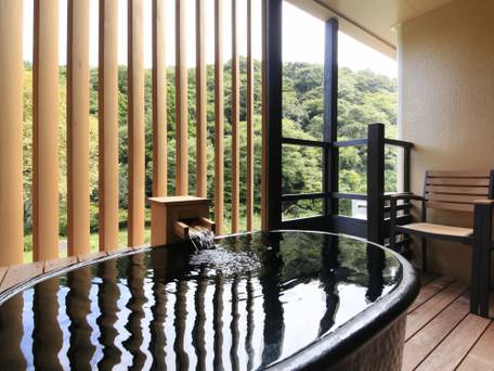 箱根湯本温泉 箱根水明荘 / 1