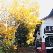 ホテル&レストラン 白樺湖榮園(長野県 旅館) / 5