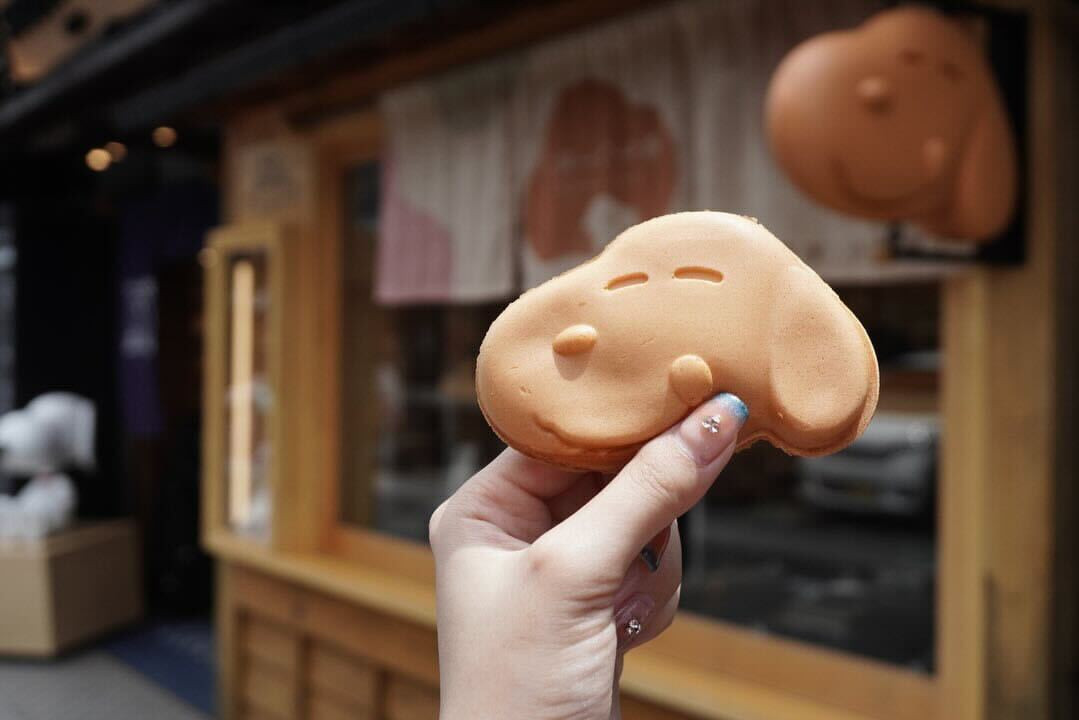 liho____.__iさんの写真 / 1