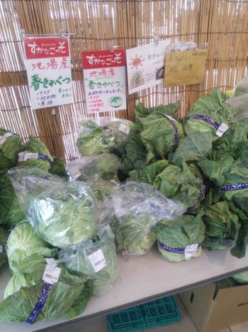 すかなごっそ806165