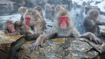 観光スポット / 4