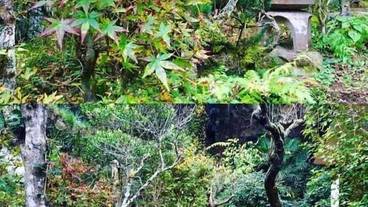 施設の敷地 / 23