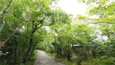 広々とした庭園 / 5