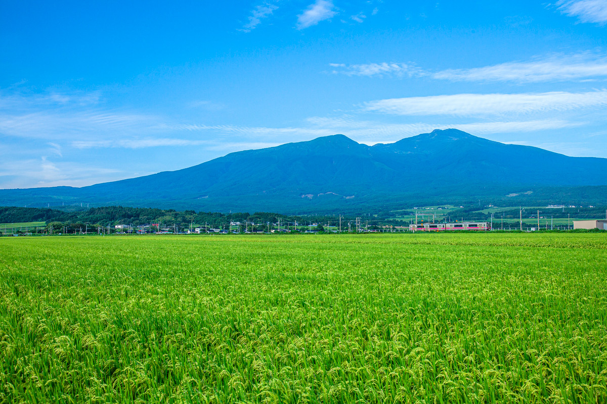 庄内地方の風景