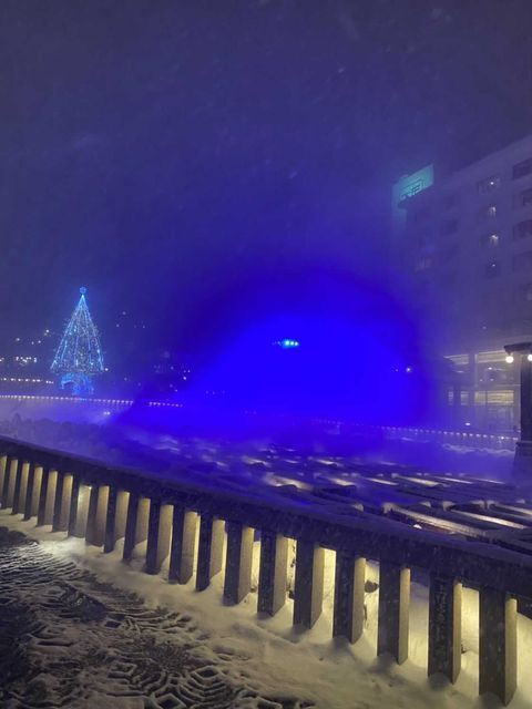 seira125さんの写真 / 2