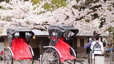 観光スポット / 13