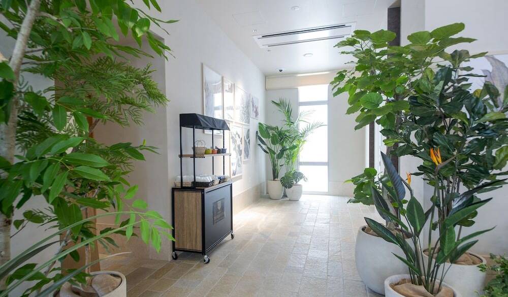 緑の多い館内 / 1