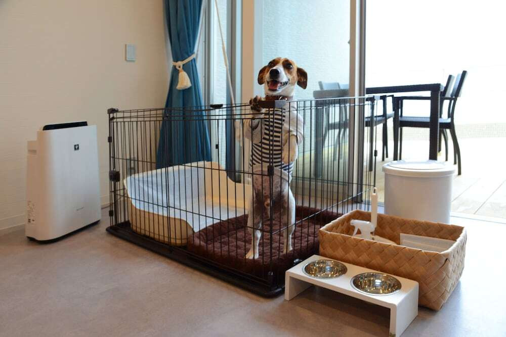 ペット用設備・サービス