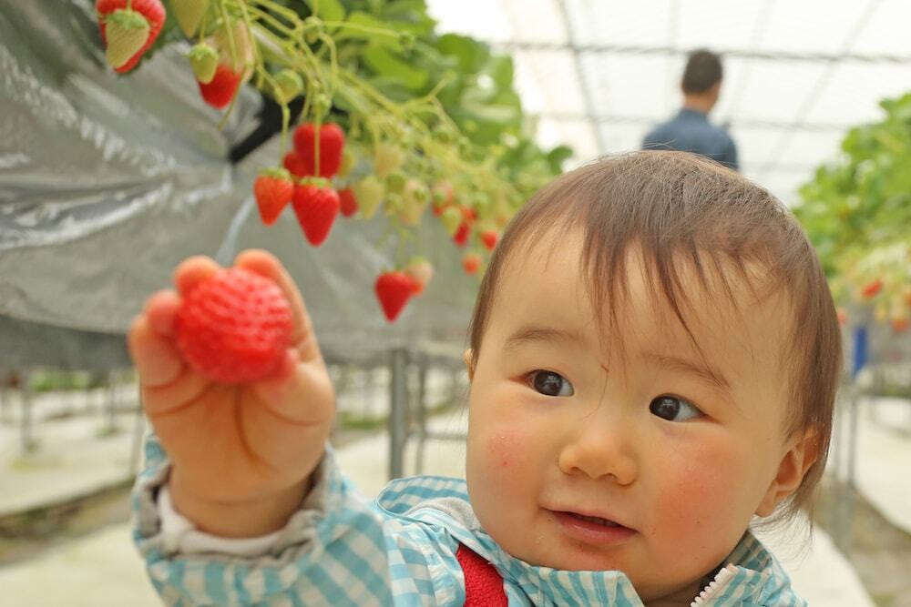 子供向けアクティビティ