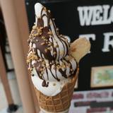 &TREE（アンドツリー）