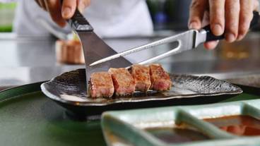 レストラン / 10