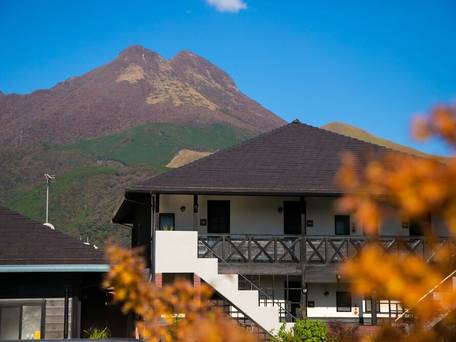 ゆふいんバース 里山茶風 / 4