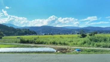 施設からの眺望 / 24