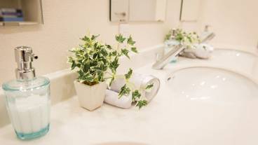 内装の詳細 / 15